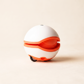 Zoomies Chaser Automatic Interactive Toy