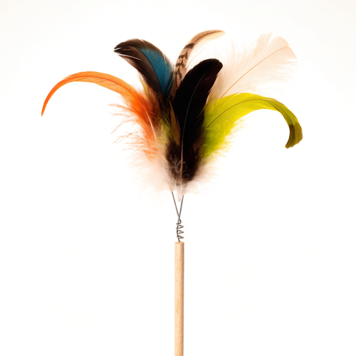 Feather Frenzy Wand Set