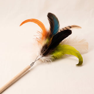 Feather Frenzy Wand Set